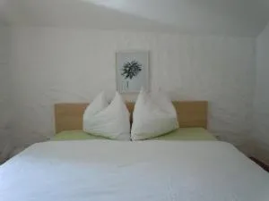 达尔汉旅馆 - 施特罗布尔