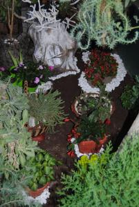 Joleski Accommodation