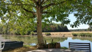 Maisons de vacances Belle Dependance du Chateau le Parc avec sa piscine : photos des chambres