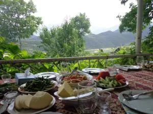Anush`s B&B - Halidzor