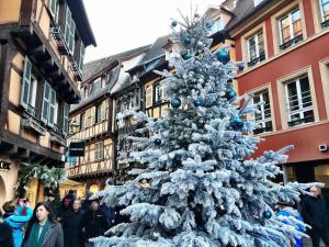 Appartements Gite Atelier de Hansi - Colmar Centre : photos des chambres