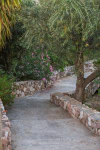 Georgias Houses (Melitzanakia)