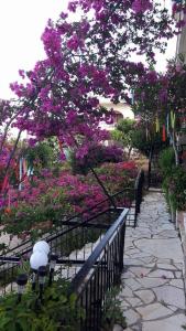 George's Apartments Messinia Greece
