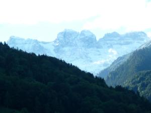 Spacious Swiss Alpine Chalet for Nature Lovers