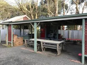 Pinewood Caravan Park - Cape Bridgewater