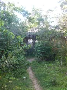 Wasini Island Bandas - Wasini