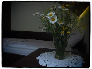 Willa Zacisze Apartament dwupoziomowy