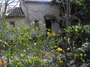 Sejours a la ferme le vieux mas du domaine de Pontet-Fronzele : photos des chambres