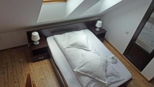 Sura Pietrei Craiului