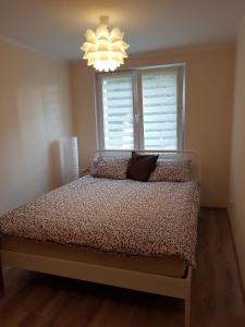 Apartament Pocztowa