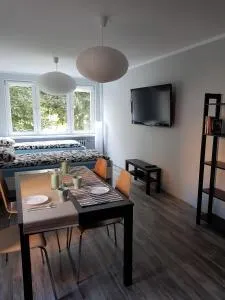Apartament Pocztowa - Łabędzie