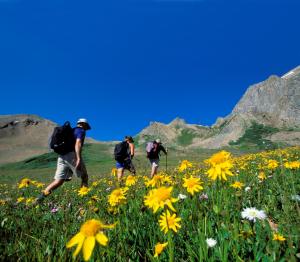 675 East Durant Avenue, Aspen, Colorado, United States.