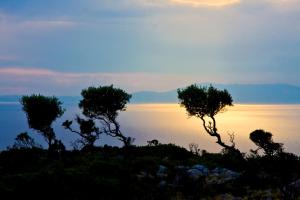 Gorgona Hotel Alonissos Greece