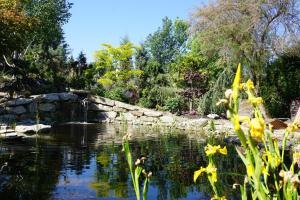 Апартамент Fancy Apartment Грац Австрия