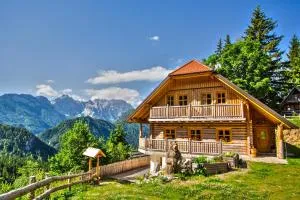 Holiday chalet "ALPINE DREAMS" with PRIVATE WELLNESS - Vellach