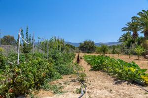 White Pearls-Adults Only Kos Greece