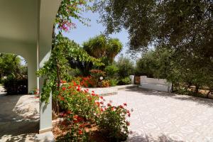 Athena Villas Olive Grove & Estate Heraklio Greece