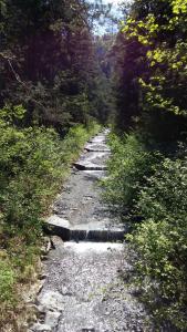 Pension Stöcklmühl