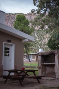 Bosque Divino Cabañas & Suites