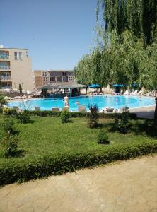 Veselina Apartment in Sunny Day 6