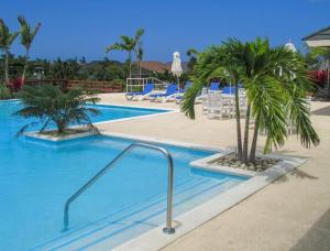 Ocho Rios Under The Palms