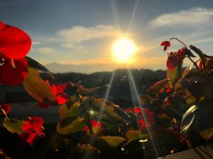 Hotel Dolomiti Caravaggio