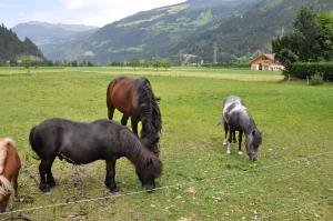 Alpenresidenz-Sonnwend