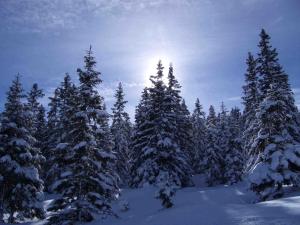 Althaia Orini-Nafpaktia Greece