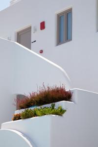 La Bellezza Eco Boutique Hotel Santorini Greece