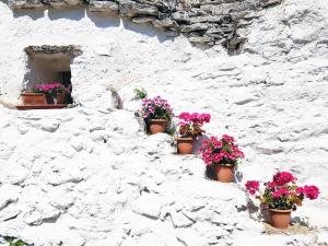 Trullo room in Parco della Vigna