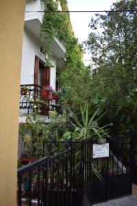 Pension Felippe Samos Greece