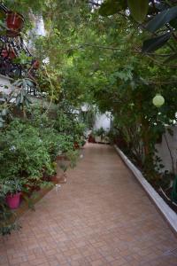 Pension Felippe Samos Greece
