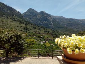 Hotel Apartament Sa Tanqueta De Fornalutx - Adults Only