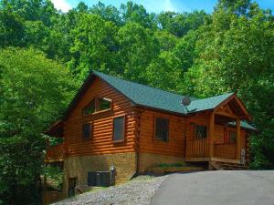 One-Bedroom House room in Wild At Heart Cabin