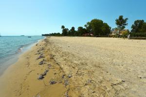 Antonia Beachfront Villa Corfu Greece