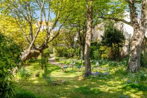 Hotels Hotel de France : photos des chambres