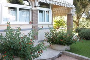 B&B Cavalieri