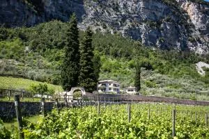 Agriturismo Maso Lizzone - Mandrea