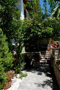 Pegasus Hotel Samos Greece