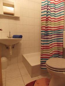 Apartment Ivana