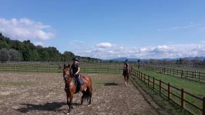 Foresteria La Rubbianetta