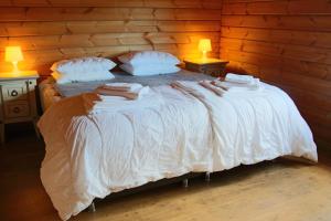 Geysir - Modern Log Cabin