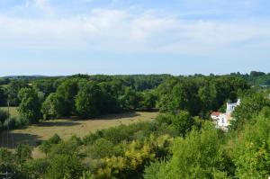 Hotels Hotel du Grand Monarque : photos des chambres