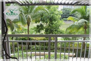 CAROLA in Pico de Loro