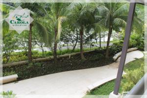 CAROLA in Pico de Loro