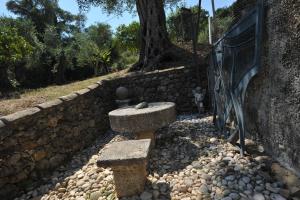 Corfu Green Paradise