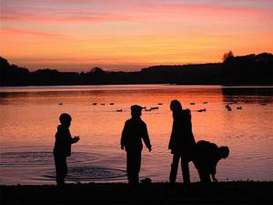 Campings Domaine Les Nids du Lac : photos des chambres