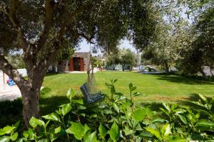 Athena Villas Olive Grove & Estate Heraklio Greece