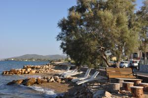 Ariadnes Holiday Accommodation I Lesvos Greece
