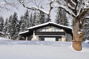 Chata Landhaus Blaubeerhügel Ramsau am Dachstein Rakousko